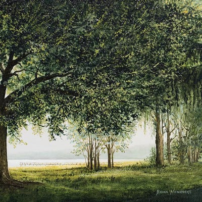 Lake Shore Drive II by Bruce Nawrocke framed canvas print