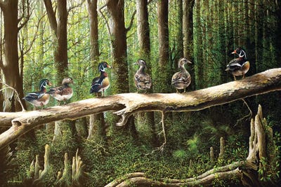 Pairing Up by Bruce Nawrocke framed canvas print