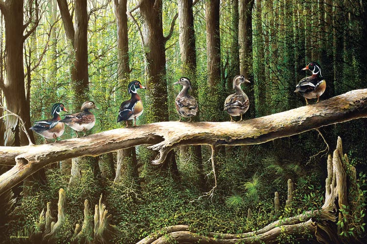 Pairing Up by Bruce Nawrocke wall art