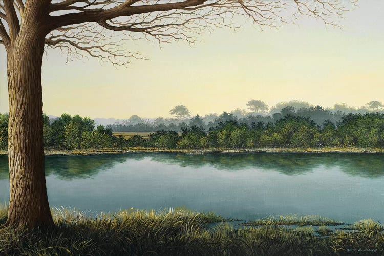 Peaceful Afternoon by Bruce Nawrocke wall art