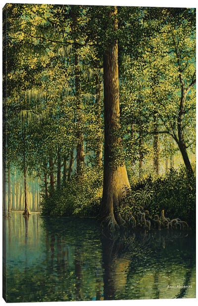 Peaceful River Canvas Art Print - Bruce Nawrocke