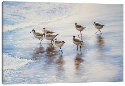 Sand Dancers Canvas Art Print - Bruce Nawrocke