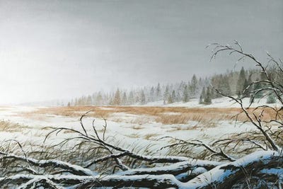 Snowy Morning by Bruce Nawrocke framed canvas print