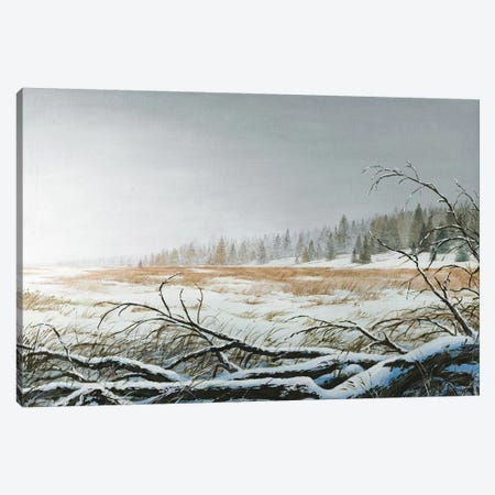 Snowy Morning Canvas Print #BNA43} by Bruce Nawrocke Canvas Print