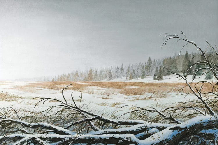 Snowy Morning by Bruce Nawrocke wall art