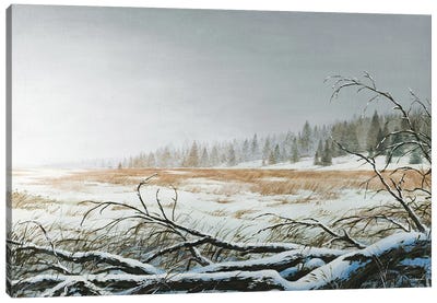 Snowy Morning Canvas Art Print - Bruce Nawrocke