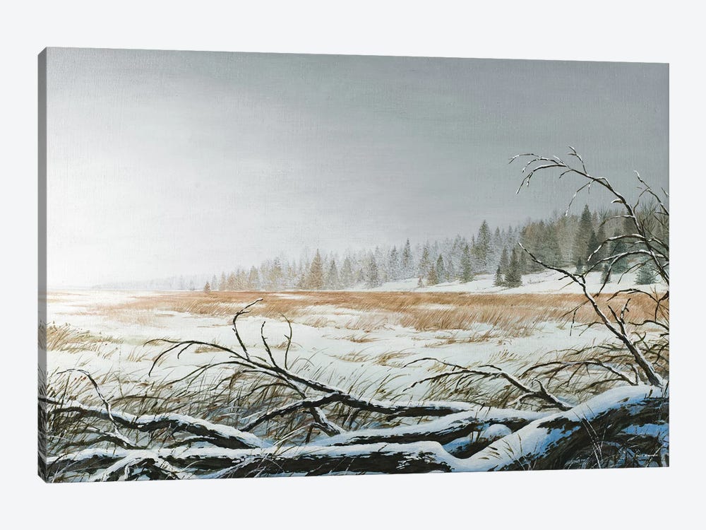 Snowy Morning by Bruce Nawrocke 1-piece Canvas Art Print