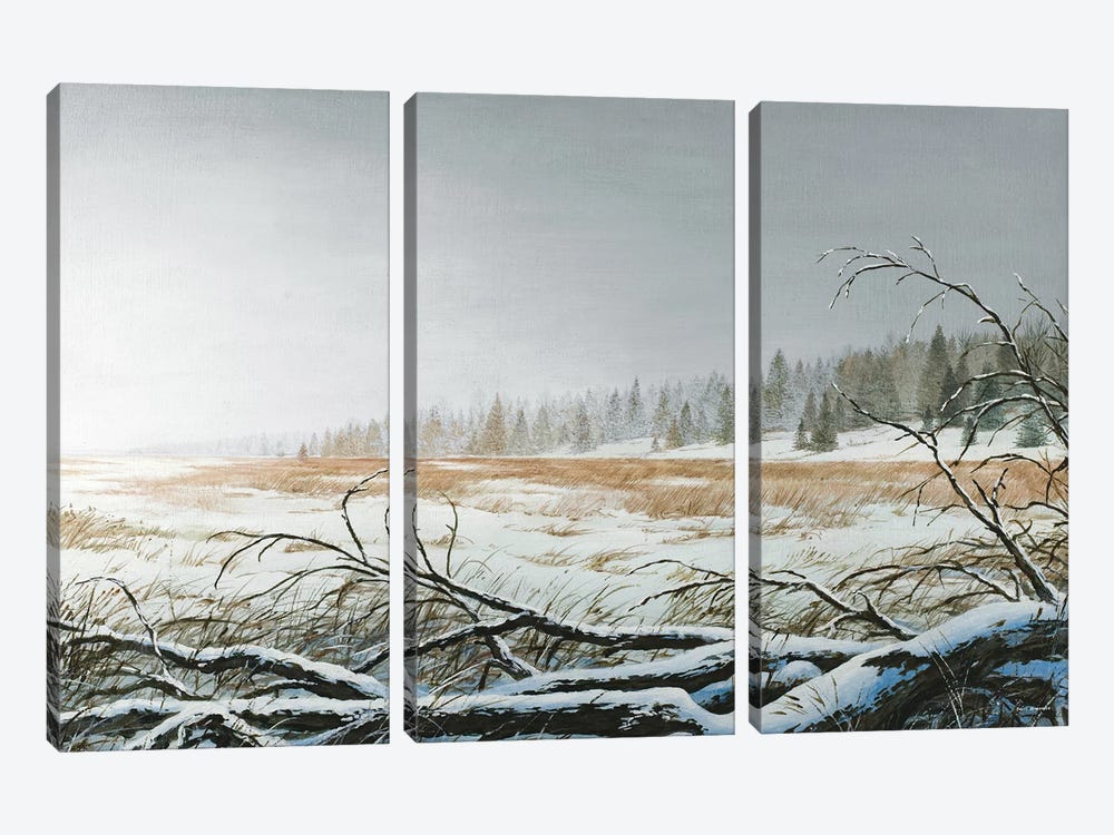 Snowy Morning by Bruce Nawrocke 3-piece Canvas Art Print