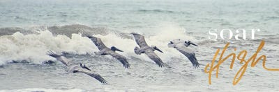 Soar High by Bruce Nawrocke multi panel art