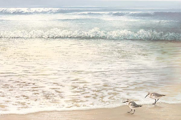 SunDance Group: Strolling Along by Bruce Nawrocke