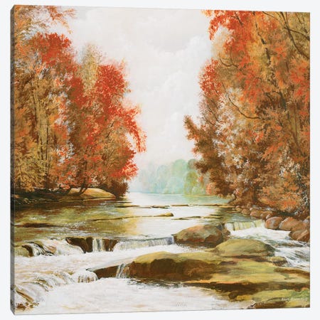 Autumn at Firemen's Park Canvas Print #BNA4} by Bruce Nawrocke Canvas Artwork
