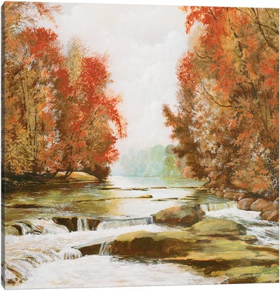 Autumn at Firemen's Park Canvas Art Print