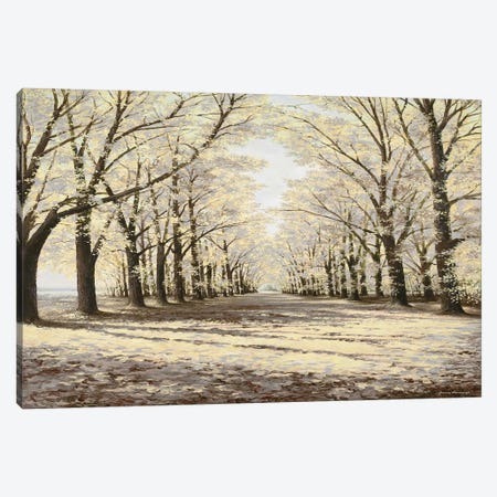 Winter Cathedral Canvas Print #BNA58} by Bruce Nawrocke Canvas Art