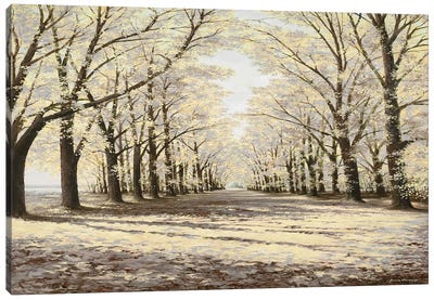 Winter Cathedral Canvas Art Print - Bruce Nawrocke