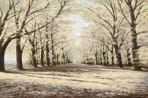 Winter: Winter Cathedral by Bruce Nawrocke