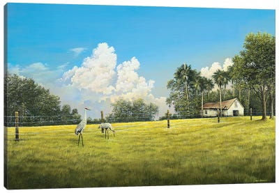 Crane Field Canvas Art Print - Bruce Nawrocke