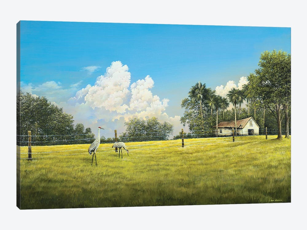 Crane Field by Bruce Nawrocke 1-piece Canvas Art