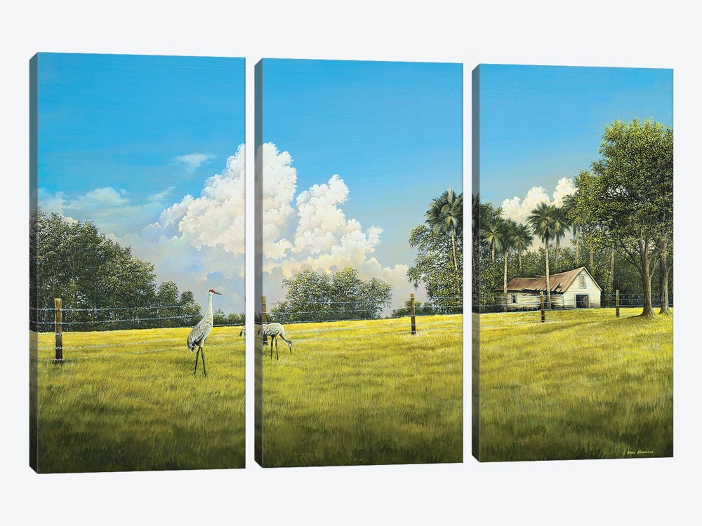 Crane Field by Bruce Nawrocke 3-piece Canvas Artwork