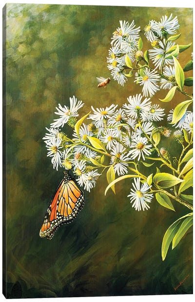 Garden Life Canvas Art Print - Monarch Butterflies