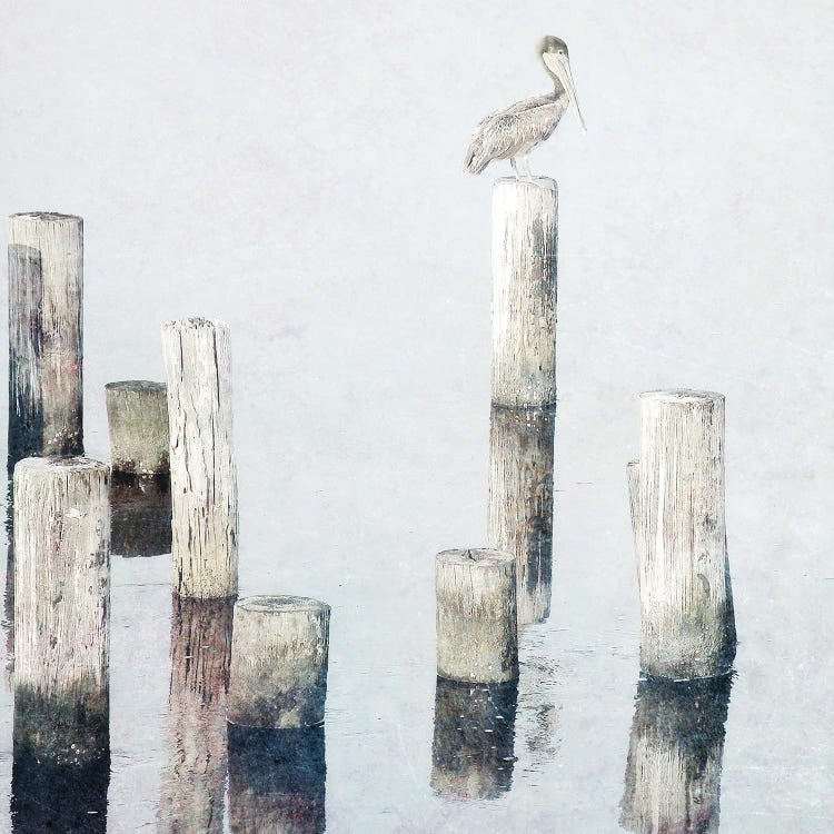 Perched Pelican by Bruce Nawrocke wall art