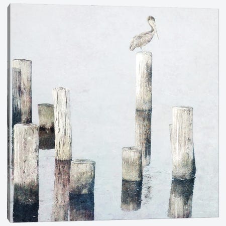 Perched Pelican Canvas Print #BNA79} by Bruce Nawrocke Canvas Artwork