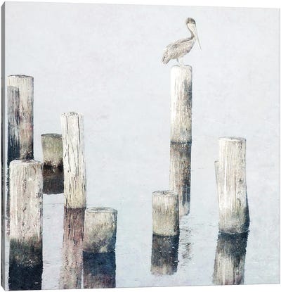 Perched Pelican Canvas Art Print - Pelican Art