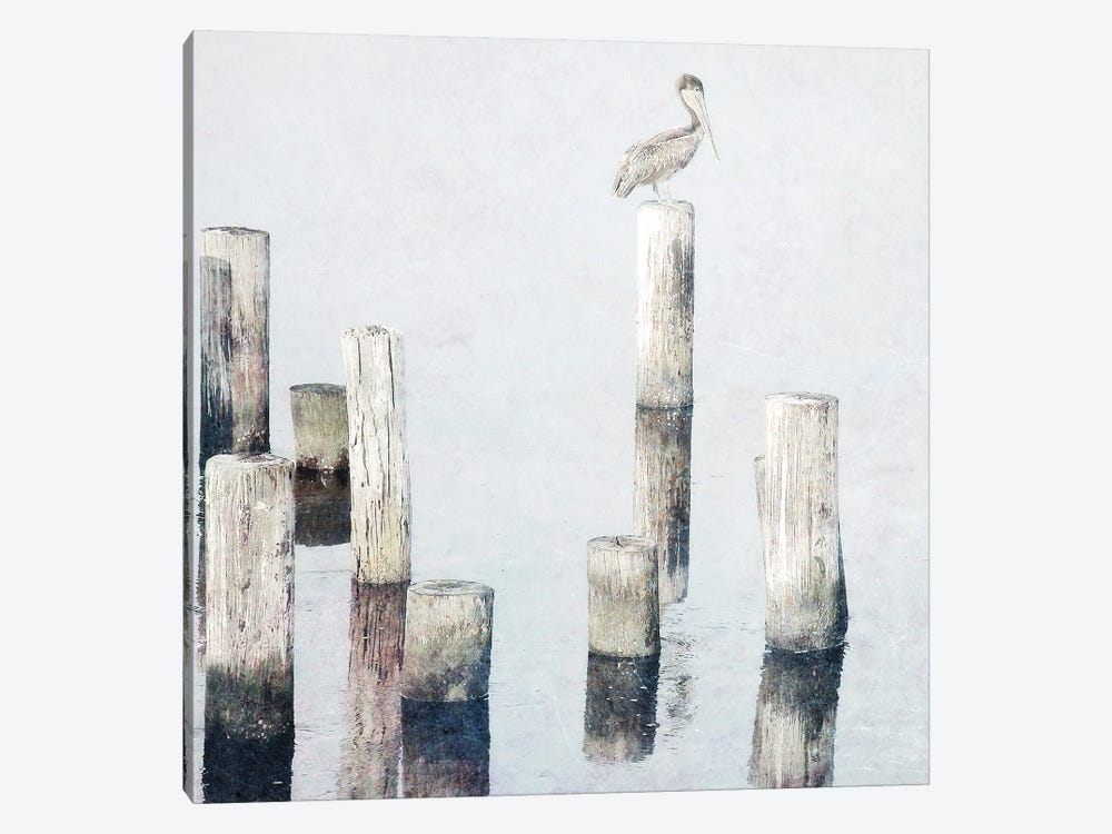 Perched Pelican by Bruce Nawrocke 1-piece Canvas Art