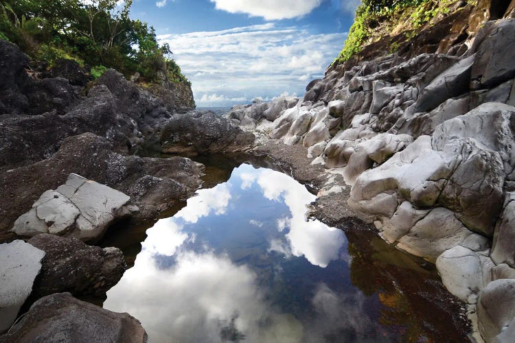 Reflecting Ravine by Bruce Nawrocke wall art