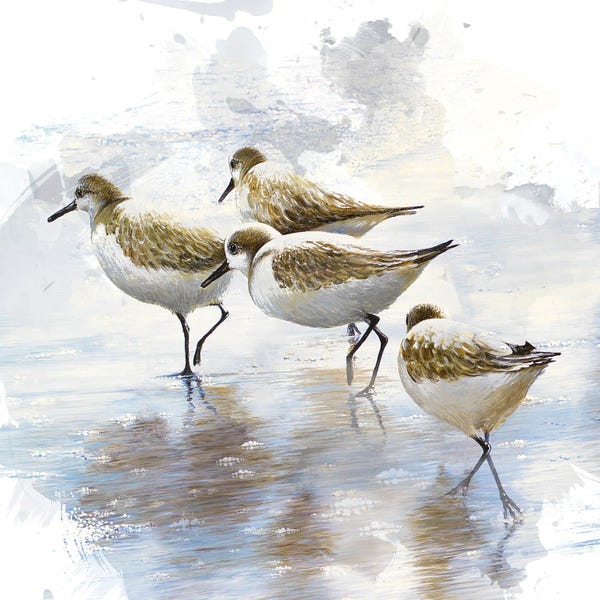 Nautical Living Room: Sand Dancers I by Bruce Nawrocke