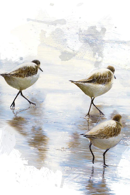 Sand Dancers II