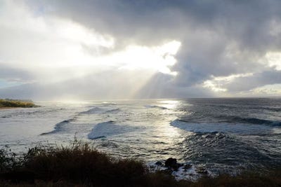 Divine Light by Bruce Nawrocke metal wall art