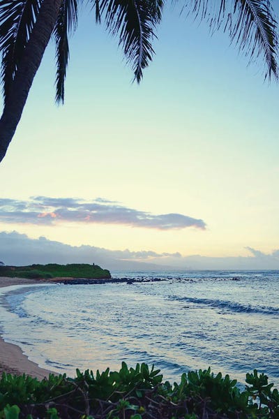 Fine Art Print: Under The Palm by Bruce Nawrocke