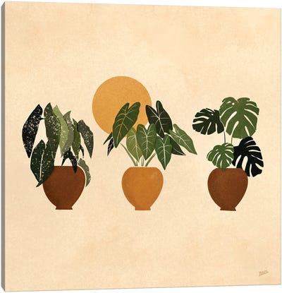 Houseplants I Canvas Art Print - Tropical Décor