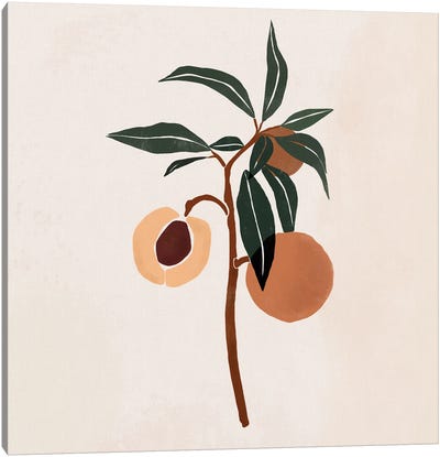 Peach Branch Canvas Art Print - Japandi