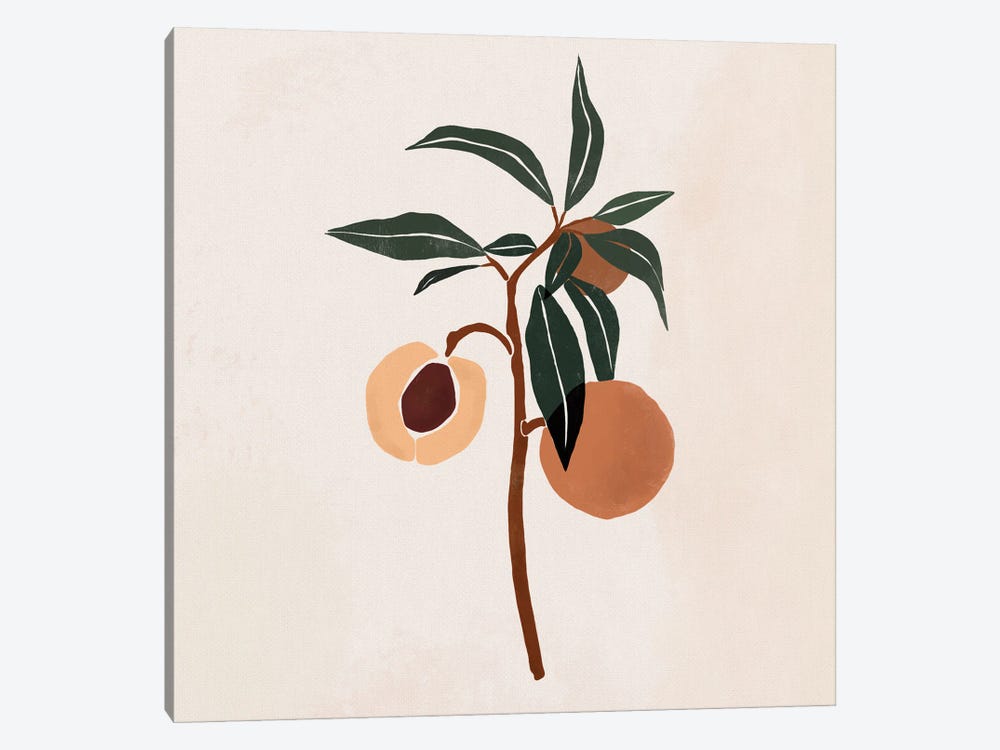 Peach Branch by Bria Nicole 1-piece Canvas Artwork