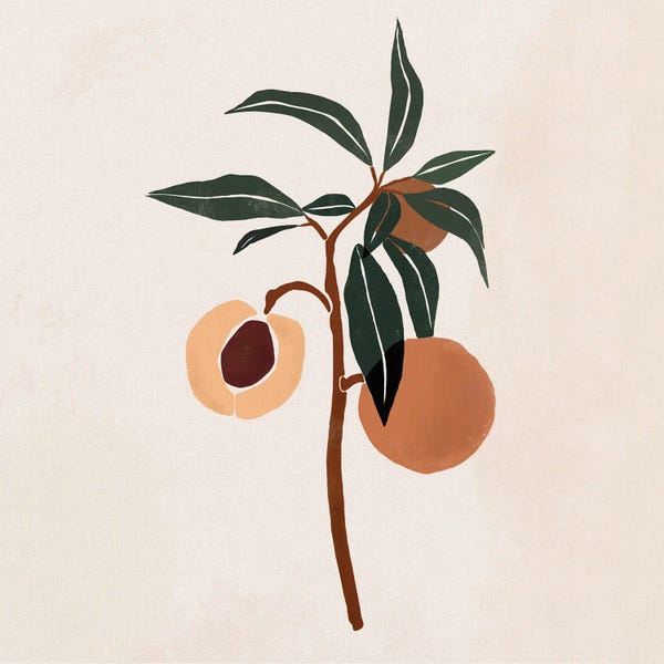 Kitchen: Peach Branch by Bria Nicole