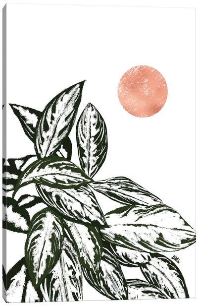 Calas I (rose gold) Canvas Art Print - Plant Art