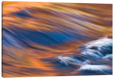 Painterly Impression Of A Rushing Stream Reflecting Autumn Colors Canvas Art Print