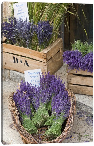 Harvested Lavender Bunches For Sale, Canton de Sault, Provence-Alpes-Cote d'Azur, France Canvas Art Print - Gardening Art