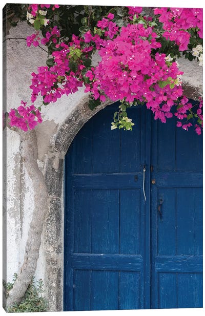 Greece, Santorini. Weathered blue door is framed by bright pink Bougainvillea blossoms. Canvas Art Print