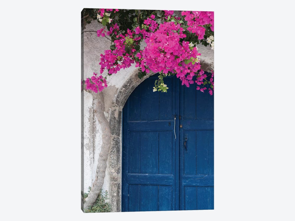 Greece, Santorini. Weathered blue door is framed by bright pink Bougainvillea blossoms. by Brenda Tharp 1-piece Canvas Print