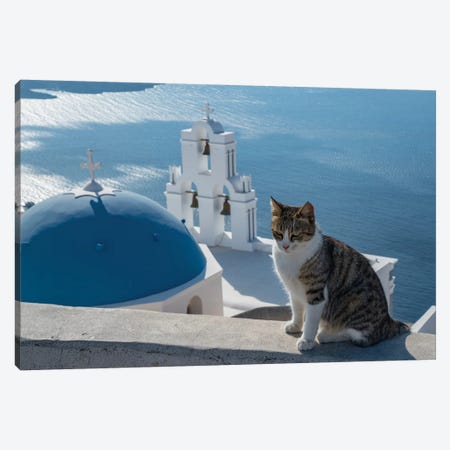Greece, Santorini. Cat posing on the wall above the iconic Three Bells of Fira Canvas Print #BND26} by Brenda Tharp Canvas Print