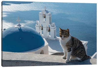 Greece, Santorini. Cat posing on the wall above the iconic Three Bells of Fira Canvas Art Print - Greece Art