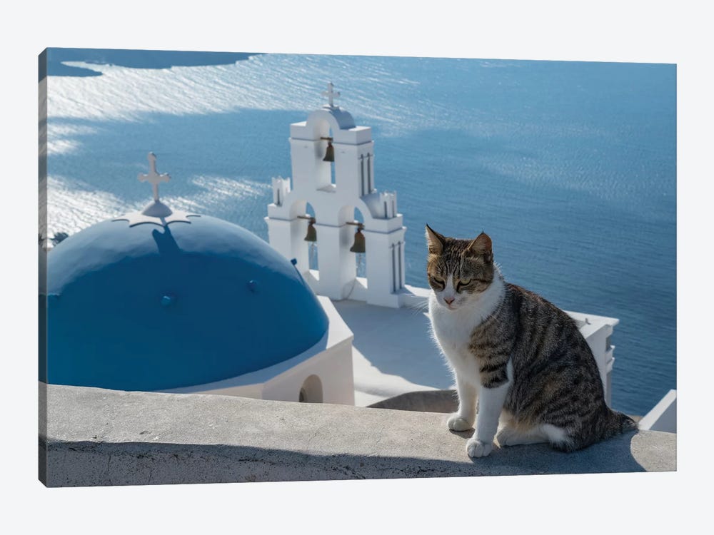 Greece, Santorini. Cat posing on the wall above the iconic Three Bells of Fira by Brenda Tharp 1-piece Canvas Artwork