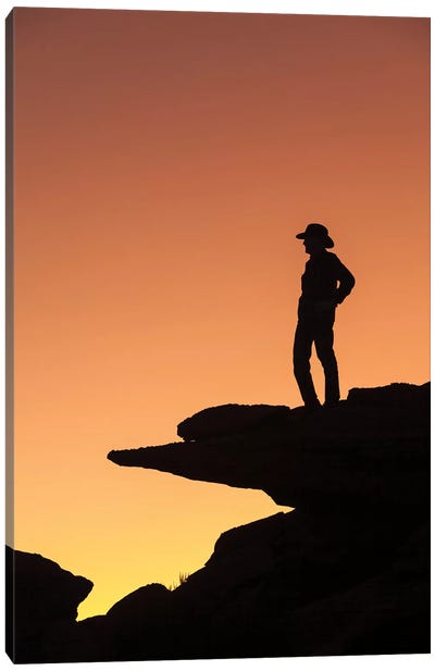 Man Standing On Rock Surveying The View Canvas Art Print