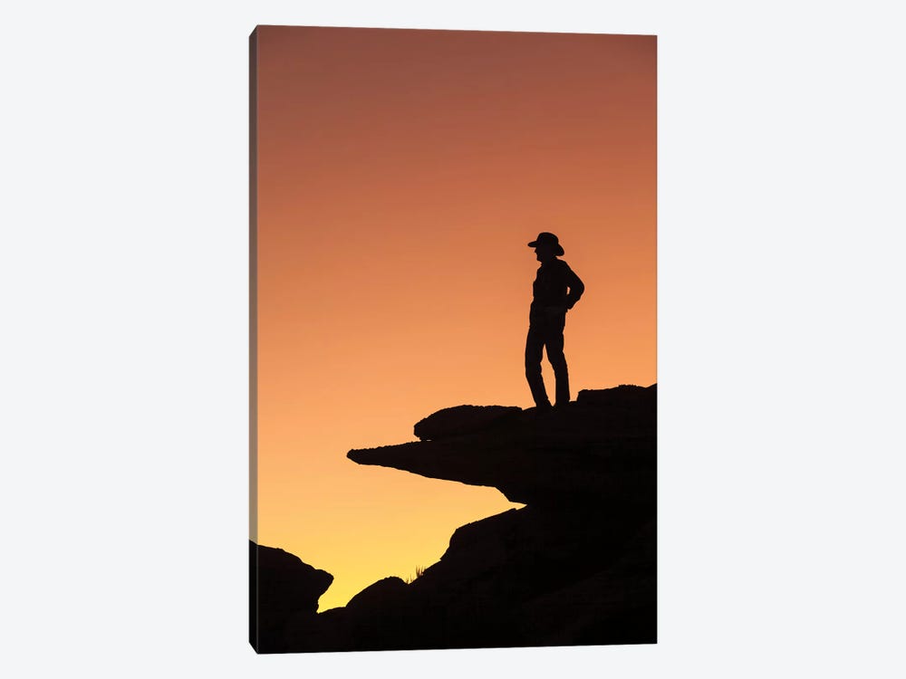 Man Standing On Rock Surveying The View by Brenda Tharp 1-piece Canvas Print