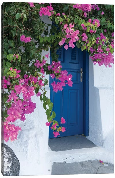 Greece, Santorini. A Picturesque Blue Door Is Surrounded By Pink Bougainvillea In Firostefani. Canvas Art Print