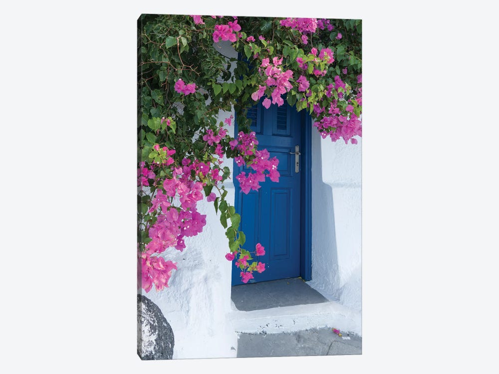 Greece, Santorini. A Picturesque Blue Door Is Surrounded By Pink Bougainvillea In Firostefani. by Brenda Tharp 1-piece Canvas Artwork