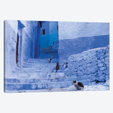 Morocco, Chefchaouen. Cats sit along the winding steps of an alley. Canvas Print #BND8} by Brenda Tharp Canvas Art