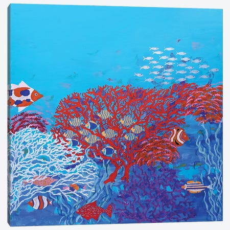 Many Colored Fish Among Corals Canvas Print #BNI52} by Berit Bredahl Nielsen Canvas Wall Art